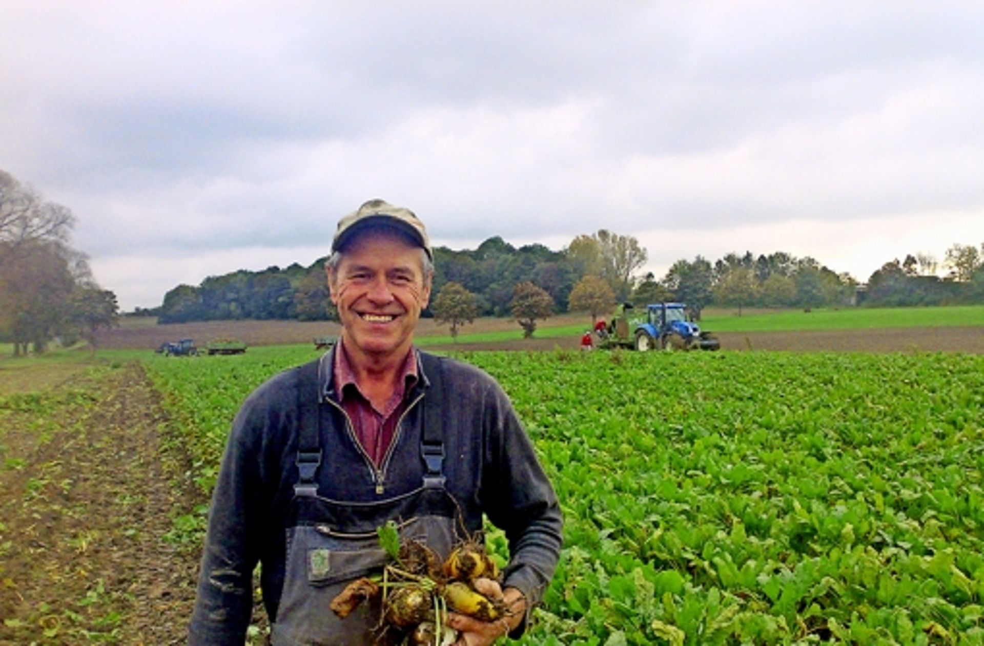 Farmer of 'Your Local Fruit Stores'